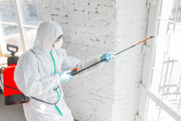 Best Commercial Mold Inspection  in USA